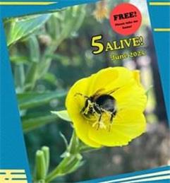5Alive - June issue published
